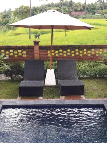 Swimming pool, Lafyu Bali in Singaraja Swimming pool, Lafyu Bali in Singaraja
