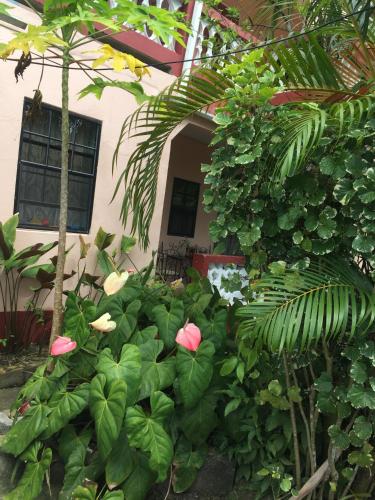 Entrance, Anne's Homestay in Gros Islet Entrance, Anne's Homestay in Gros Islet