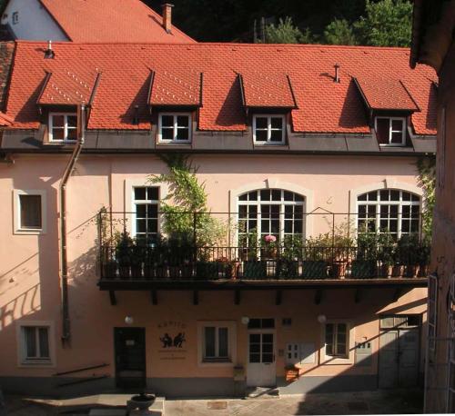 B&B Petra Varl Accommodation Hotel