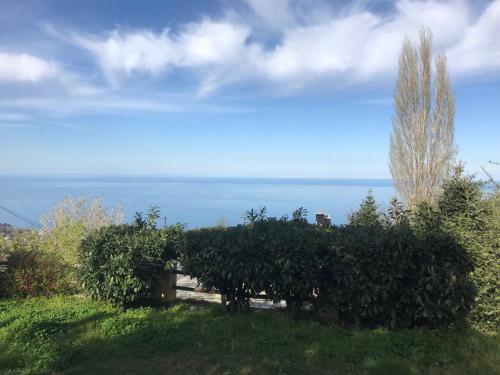 This photo about Ellis Full Guest House shared on HyHotel.com