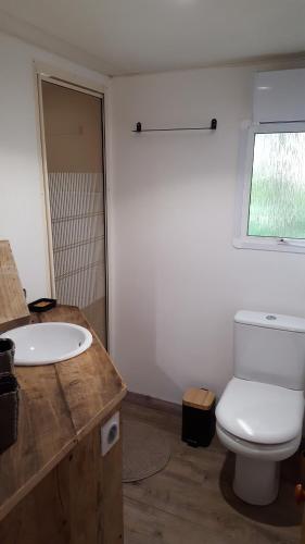 DES BRANCHES & VOUS in Chateauneuf Sur Isere DES BRANCHES & VOUS in Chateauneuf Sur Isere