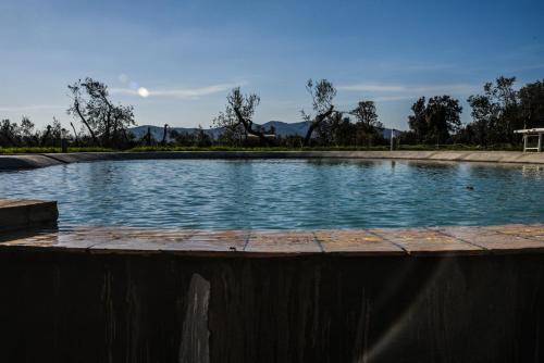 Swimming pool, Casale Di Vulci in Canino Swimming pool, Casale Di Vulci in Canino