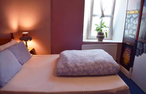 This photo about MacGabhainns Backpackers Hostel shared on HyHotel.com