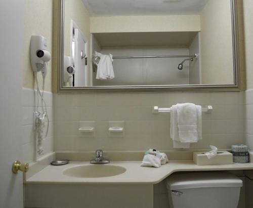 在meiguo.com看到的The Avenue Hotel的介绍图片