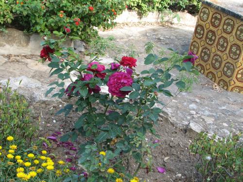 This photo about Residence Casale Verderame shared on HyHotel.com