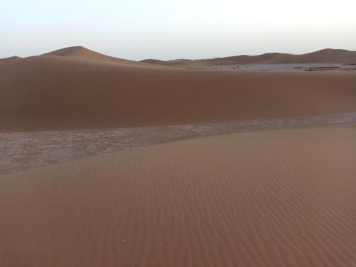 Bivouac Les Nomades & Foum zguid to chegaga tours in Foum Zguid Bivouac Les Nomades & Foum zguid to chegaga tours in Foum Zguid