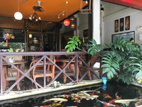 إي زد هاوس (EZ House) in سوكوتاى سيتى إي زد هاوس (EZ House) in سوكوتاى سيتى