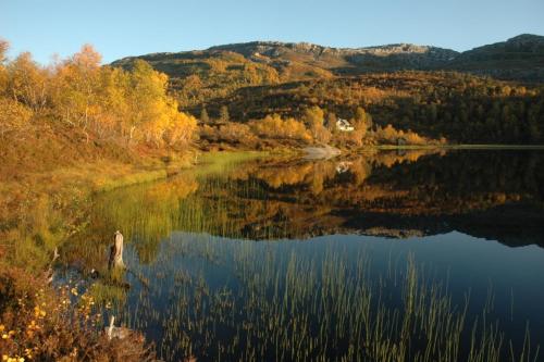 Esportes e Atividades, Voss Lodge Rongastovo in Ytrebygda Esportes e Atividades, Voss Lodge Rongastovo in Ytrebygda