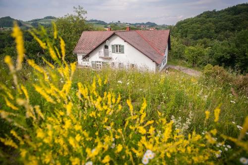 A szálláshely kívülről, Ferienhaus Vogeljager in Pössnitz A szálláshely kívülről, Ferienhaus Vogeljager in Pössnitz