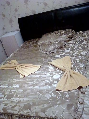 This photo about Hostel Dom shared on HyHotel.com