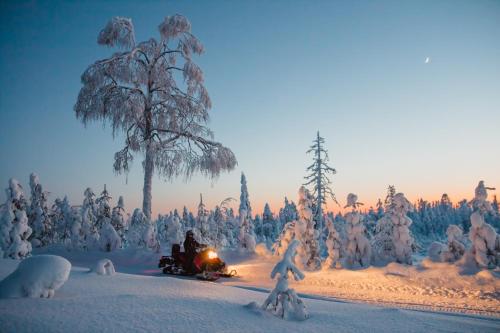 Attractions, Yllas Lake Hotel in Yllasjarvi Attractions, Yllas Lake Hotel in Yllasjarvi