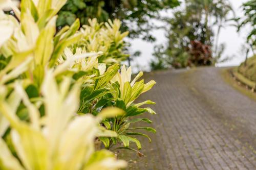 This photo about Arenal Palace shared on HyHotel.com