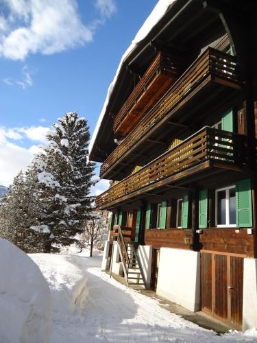 Вход, Hotel Tschuggen in Гринделвалд Вход, Hotel Tschuggen in Гринделвалд