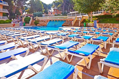 Facilities, MLL Palma Bay Club Resort in Majorca Facilities, MLL Palma Bay Club Resort in Majorca