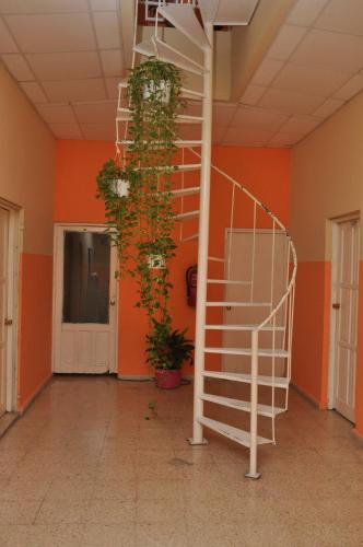 館内設備, Hotel Colonial Blanco in サント ドミンゴ 館内設備, Hotel Colonial Blanco in サント ドミンゴ