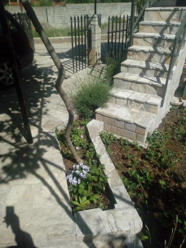 setenčić (setencic) in 特雷比涅 setenčić (setencic) in 特雷比涅