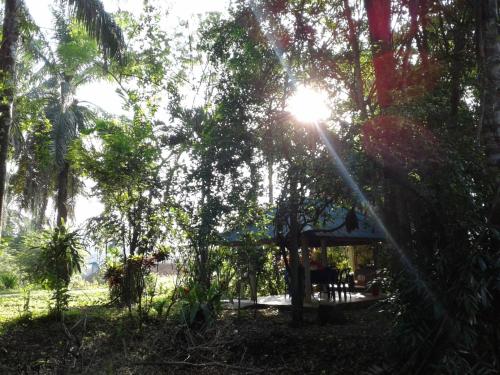 Suan Bang Bon B&B Inn in Plai Phraya Suan Bang Bon B&B Inn in Plai Phraya