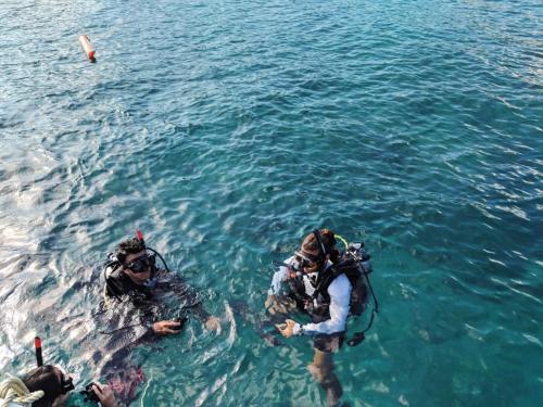 Quiver Dive Team Perhentian Dorm in Pulau Perhentian Kecil Quiver Dive Team Perhentian Dorm in Pulau Perhentian Kecil