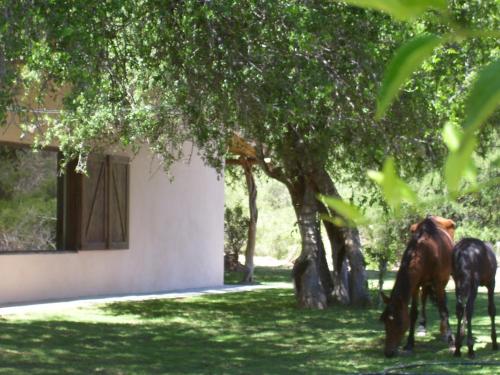 Finca Puesta del sol in 산 아구스틴 바예 페르틸 Finca Puesta del sol in 산 아구스틴 바예 페르틸
