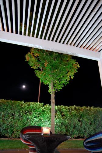 Facilities, Hotel Cavallino in Faenza Facilities, Hotel Cavallino in Faenza