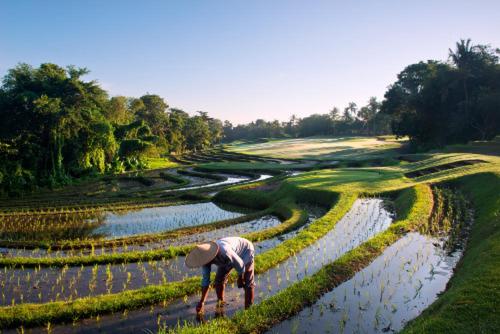 This photo about Villa Salema shared on HyHotel.com