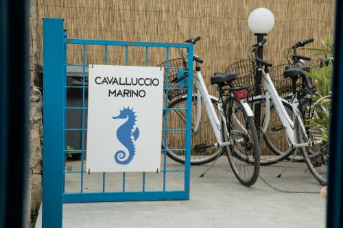 Hotel Cavalluccio Marino