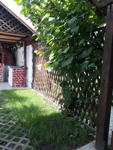 Pensiunea Vidra in Байле Фелікс Pensiunea Vidra in Байле Фелікс