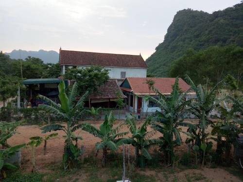 Phong Nha Rice Field Homestay in Phong Nha Phong Nha Rice Field Homestay in Phong Nha