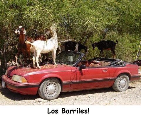 This photo about Hotel Los Pescadores shared on HyHotel.com