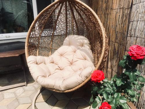 This photo about Maiami shared on HyHotel.com