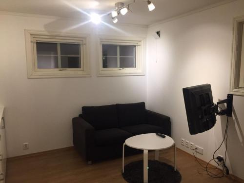 Super nice basement apartment near central Oslo in Bjerke Super nice basement apartment near central Oslo in Bjerke