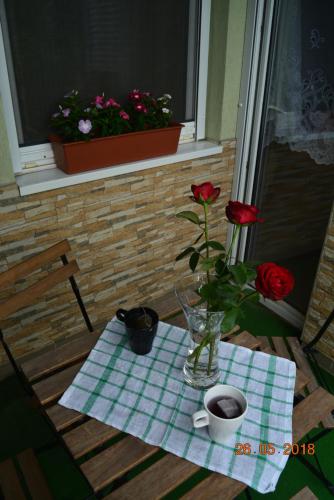 Berettyo Central Apartment in บารันด์ Berettyo Central Apartment in บารันด์