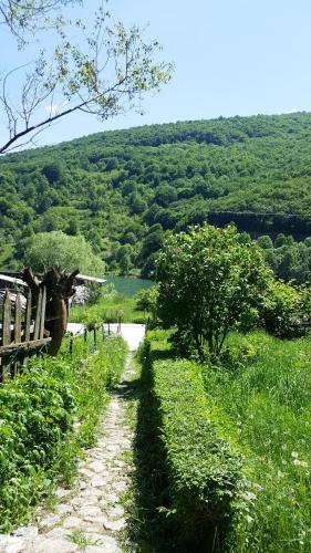 Pandora in Mavrovo Pandora in Mavrovo