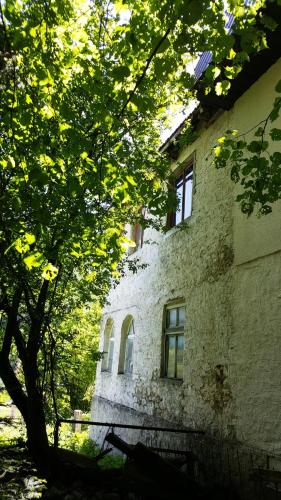 Pandora in Mavrovo Pandora in Mavrovo