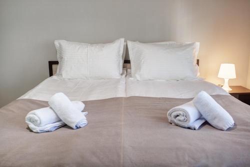 Spacious flat close to the American Embassy