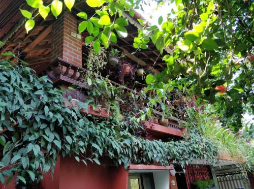 This photo about The Four Seasons shared on HyHotel.com