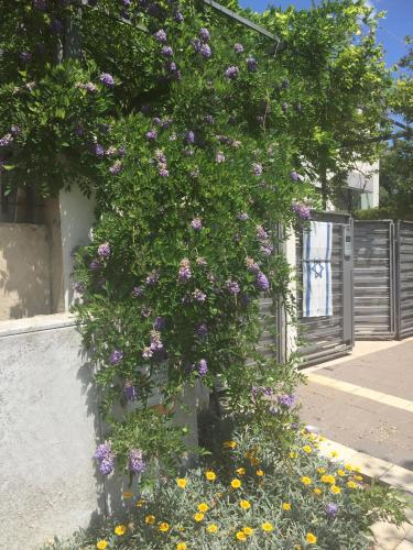 Villa Alice Caesarea in Cesaria Villa Alice Caesarea in Cesaria