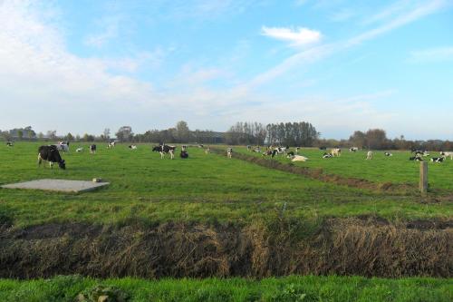 Bed & Breakfast ARKEN AE in Zuiderwoude Bed & Breakfast ARKEN AE in Zuiderwoude