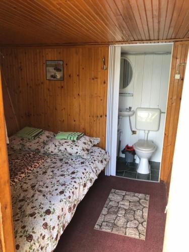 Camping Robinson Country Club Oradea in Oradea Camping Robinson Country Club Oradea in Oradea