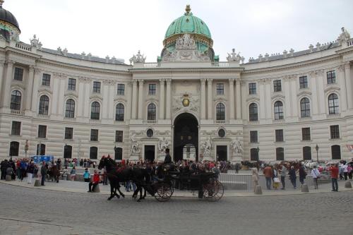Central Vienna Apartment with unique 40m2 city garden & self check in