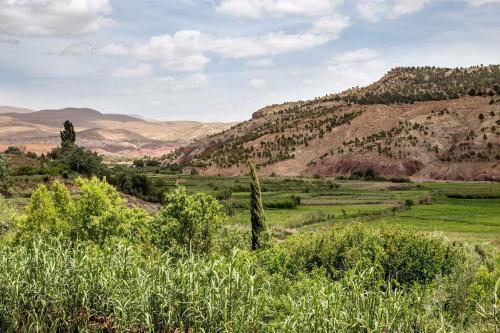 Le Lion D'or Atlas in Telouet Le Lion D'or Atlas in Telouet