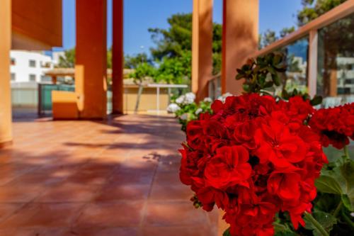 Facilities, RealRent Mirador al Mar in Almadrava Facilities, RealRent Mirador al Mar in Almadrava