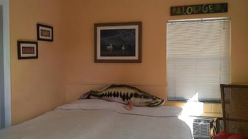 在meiguo.com看到的Swashbuckler Motel的介绍图片