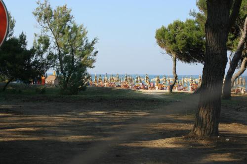 plajă, Pinetina Beach in Silvi Marina plajă, Pinetina Beach in Silvi Marina