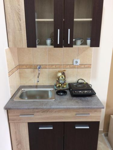 Konyha, Sobe SANjA in Pirot Konyha, Sobe SANjA in Pirot