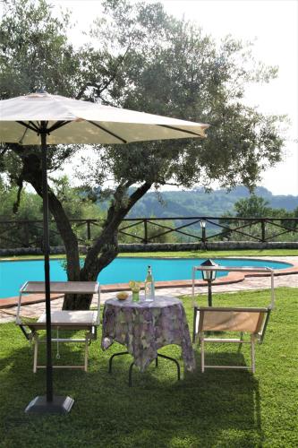 Swimming pool, Casetta Girasole in Casperia Swimming pool, Casetta Girasole in Casperia
