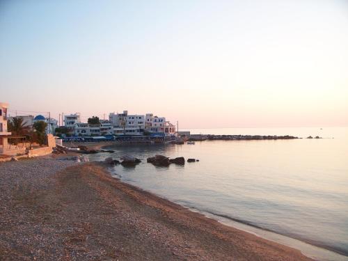 Adonis Hotel Naxos in Apollonas Adonis Hotel Naxos in Apollonas