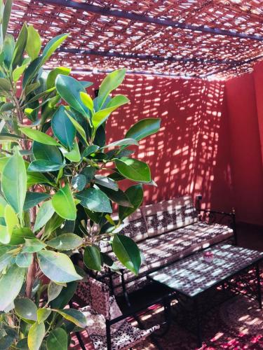 This photo about Riad Paradise shared on HyHotel.com