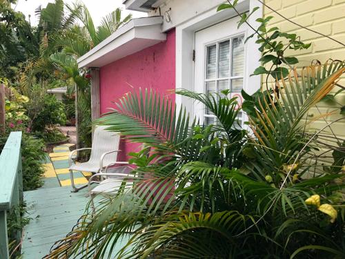 Létesítmények, Calypso Inn Wilton Gay Male Resort in Wilton Manors Létesítmények, Calypso Inn Wilton Gay Male Resort in Wilton Manors