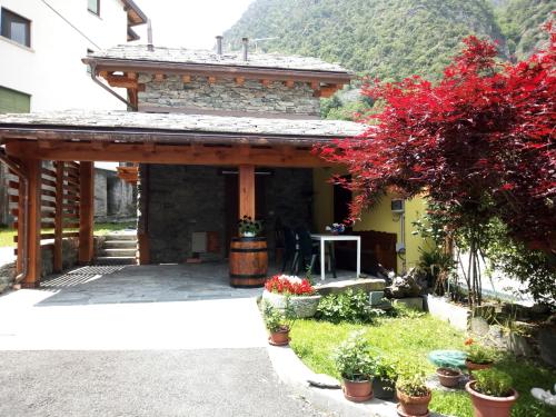 Acero Rosso in Champdepraz Acero Rosso in Champdepraz